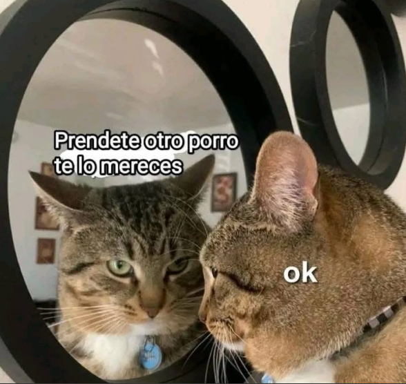 revistaTHC's tweet image. ok