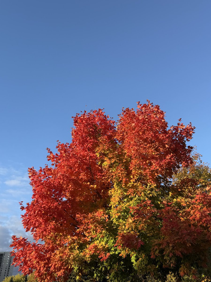 Color doesn’t exist without light, so in order to see color, we need to see the light. – Jacob Olesen