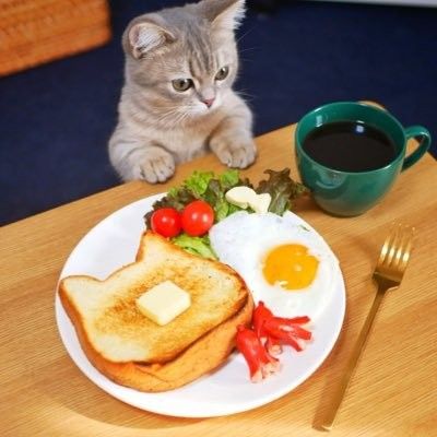 Coral_ALoveT's tweet image. java is the reason why food tastes better for surf🤭
#SurfJava