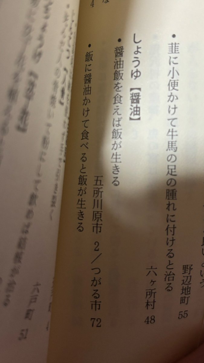 マジでこれしか書いてない。

なんなのその概念。