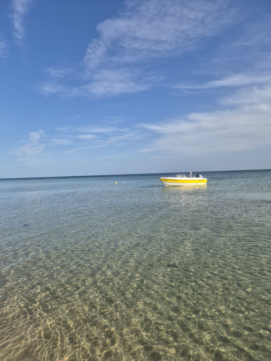 Jonathan tweet media