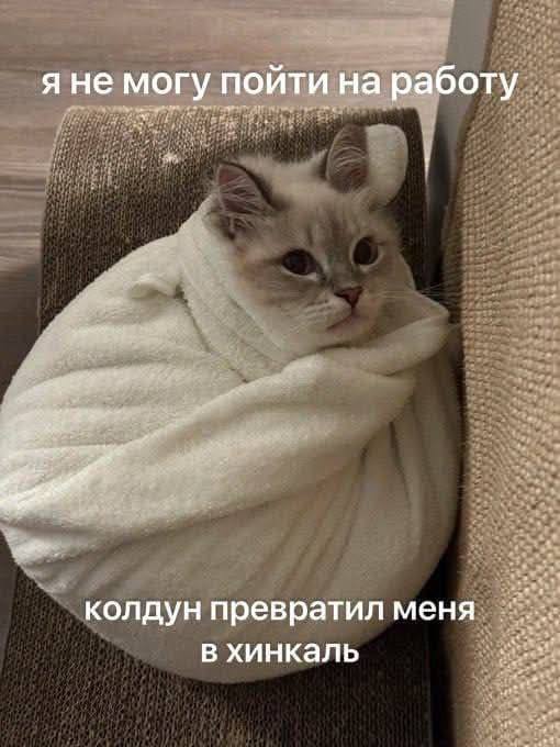 На работе цирк с конями. Сокращать не хотят (разумеется) зато выплатили премию. Весь отдел психанул и ушло в итоге БОЛЬШЕ чем собирались уволить и работать некому (было 12, осталось 5) Мне так и не сказали, оставляют или писать заявление. А я уже платье для увольнения купила!