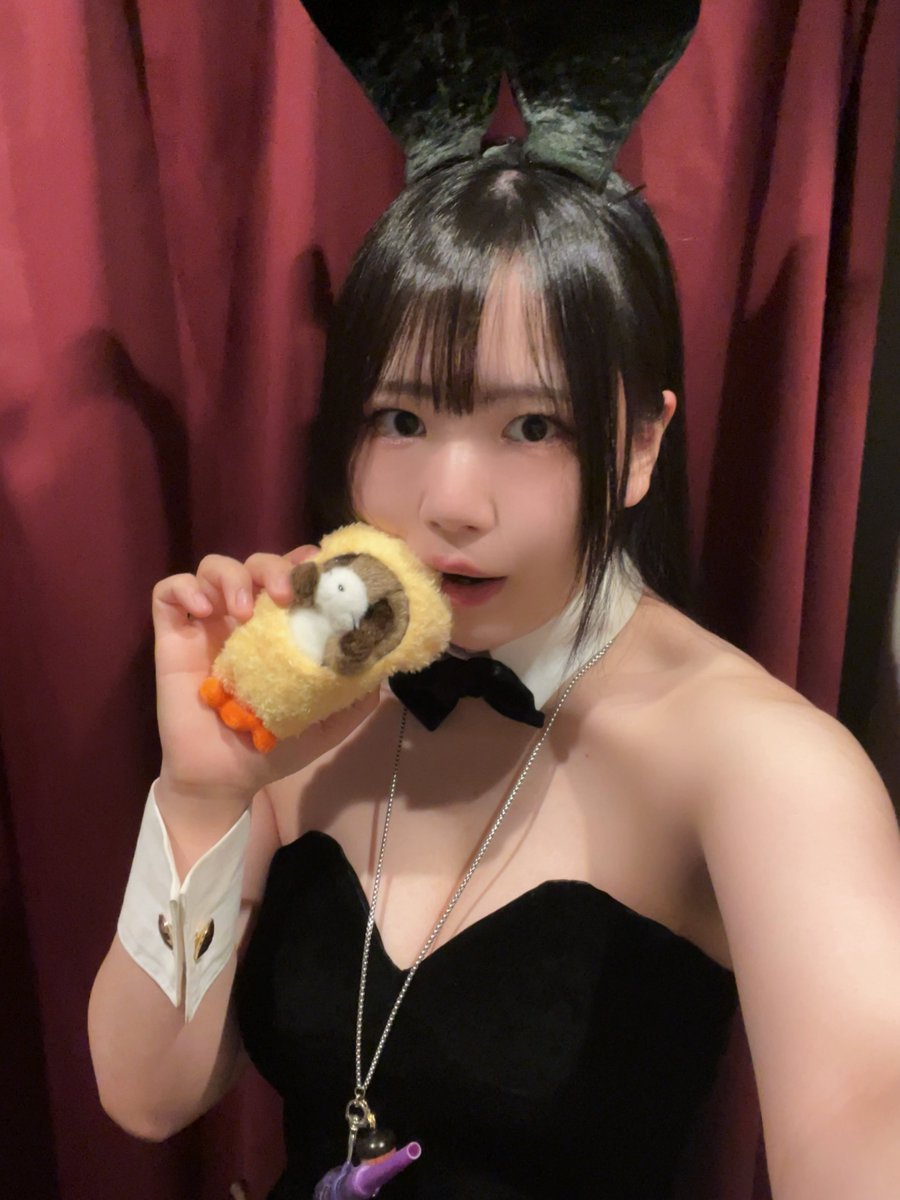 たぬ＠バニーパレス tweet media