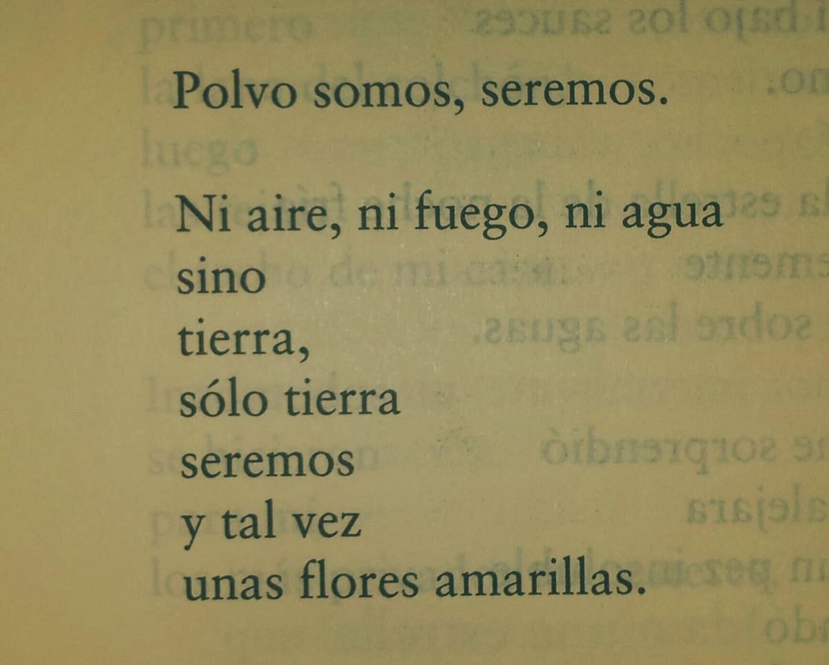 ᴘᴏᴇᴛʀʏ. (@latidoenletras) on Twitter photo 