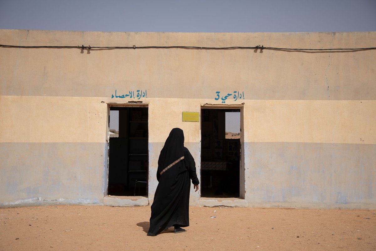 dahian cifuentes tweet media