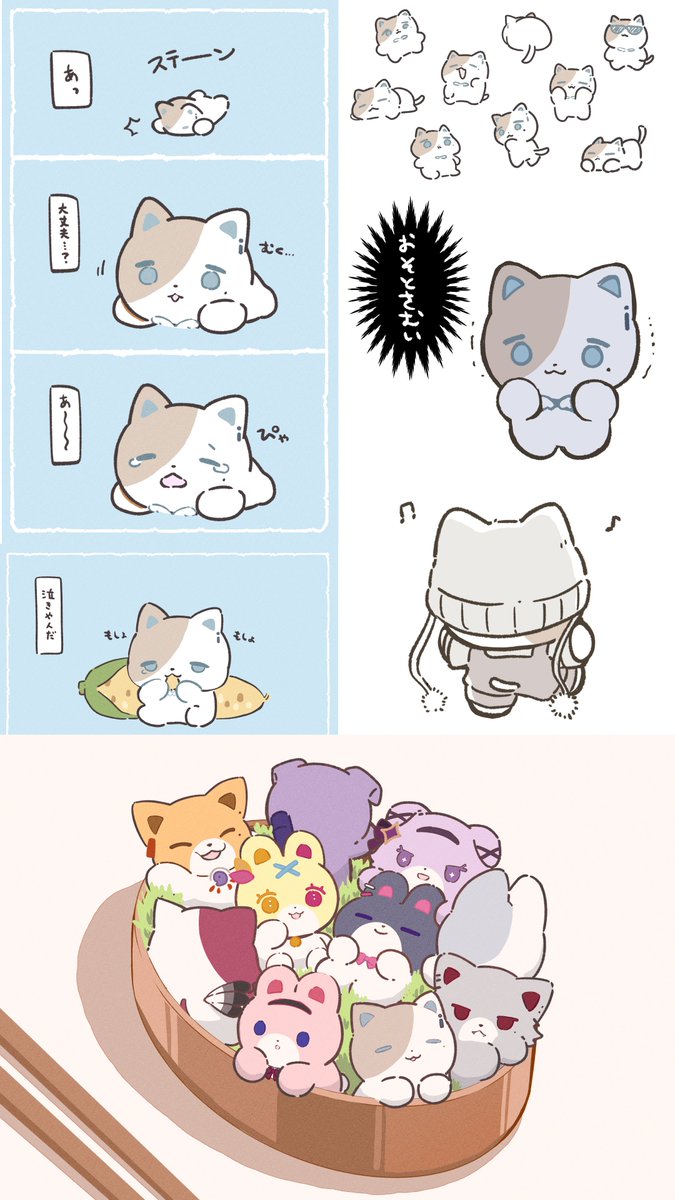 ☆雪猫☆ 雪猫 (@chitose0202) / Posts / X