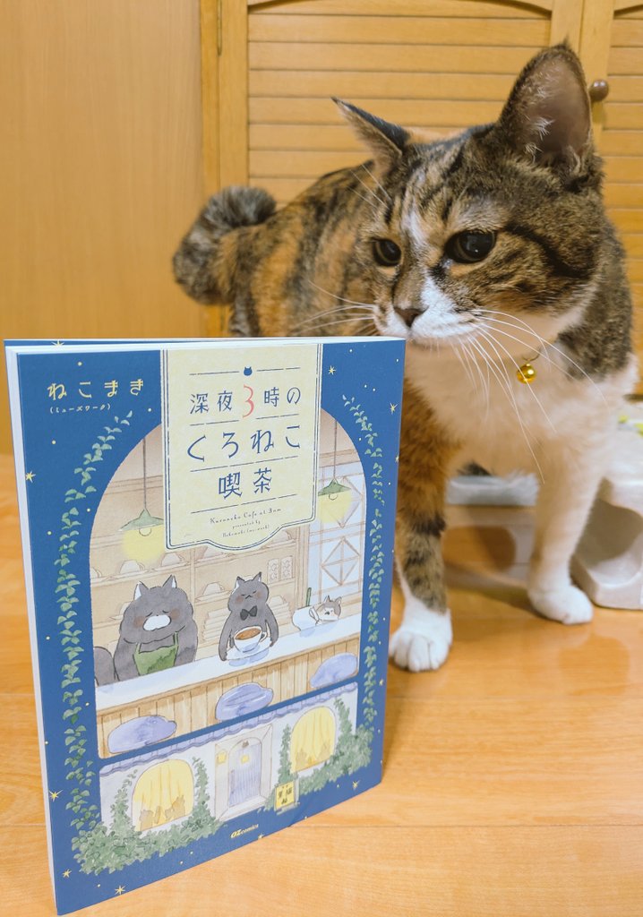 ねこまき倉庫 (@nyanta_mikan) / Posts / X