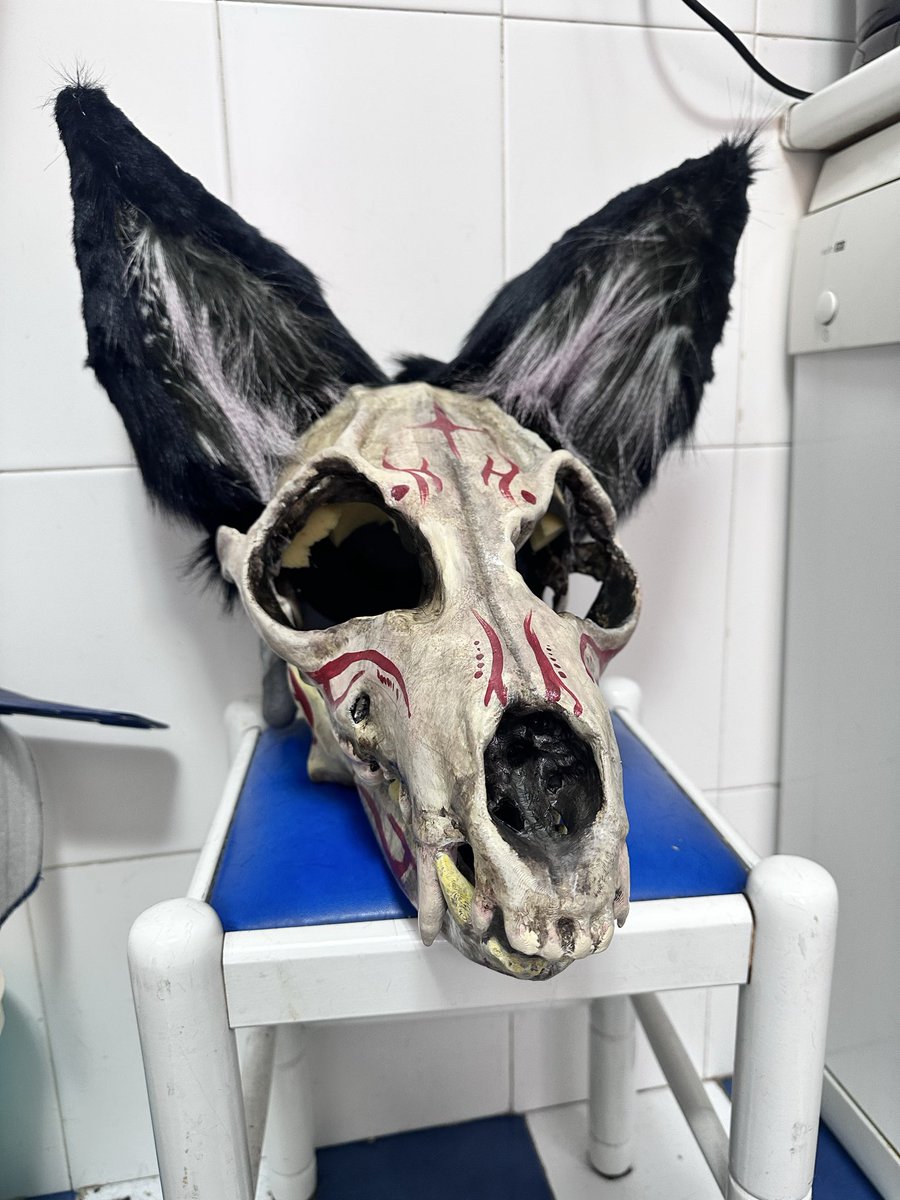 Tausario🐉 ibercon/mcm london 🩷✨ (@tautuaje) on Twitter photo Genial tenemos orejas pero la cocina llena de pelos Genial tenemos orejas pero la cocina llena de pelos