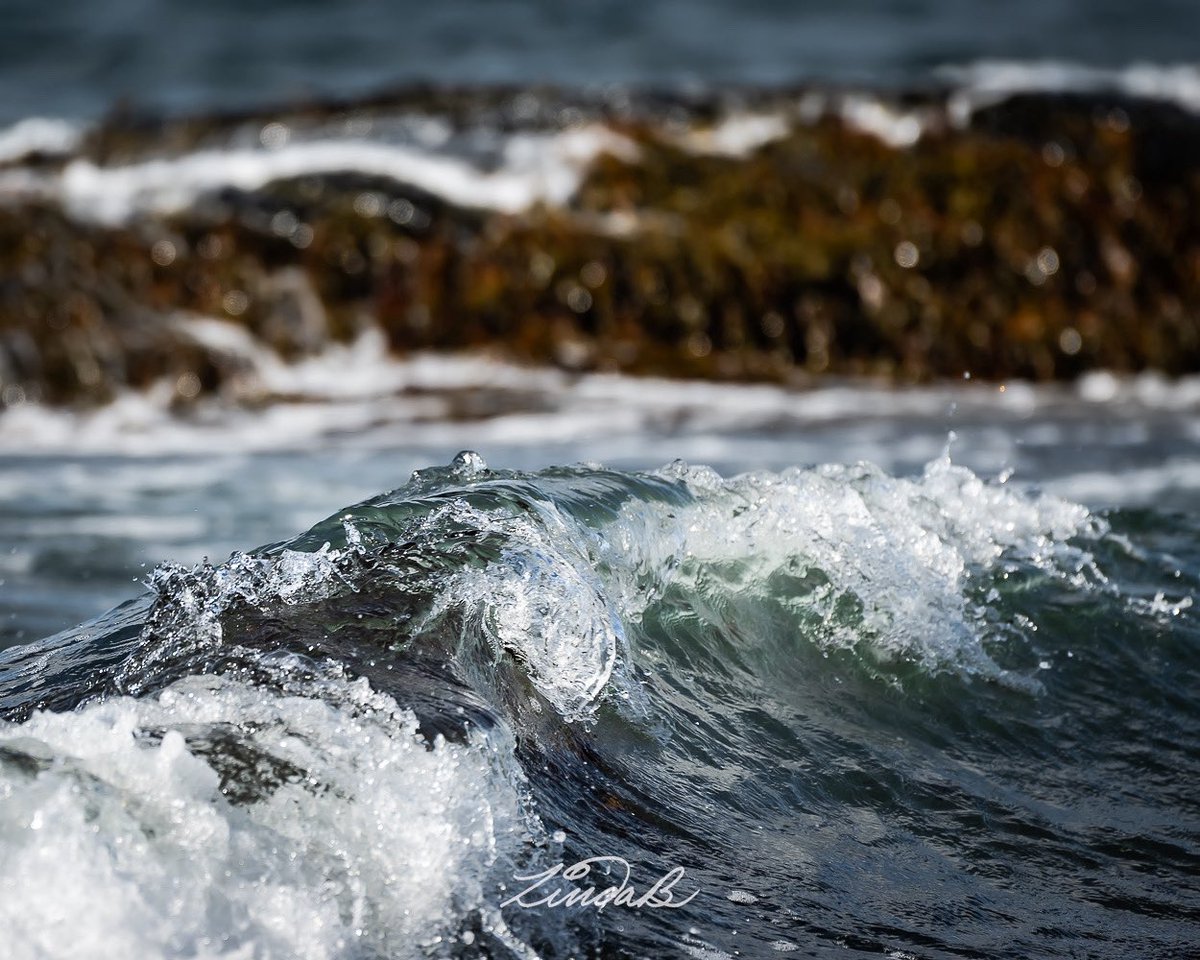 LSBofEBB's tweet photo. It was a pretty gentle roll that day...no big waves...a few splashes among the rocks, but the sky was as blue as could be, and the water was lovely.
#rollingin #coastal #atlantic #waves #nature #photography #getoutside #EveryBitBeautiful #theoceanstate #americathebeautiful https://t.co/PVGjj0DPB9