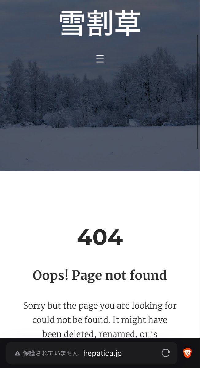 コレ、Webサイトなのかな？

急拵えなのか、検索画面の説明にはヒットするのに、説明ページすら中身が存在しないし、パーツのテキストがテンプレートのままだし、https対応してない。
(このページは無関係な可能性はある)

hepatica.jp/%E9%9B%AA%E5%8…