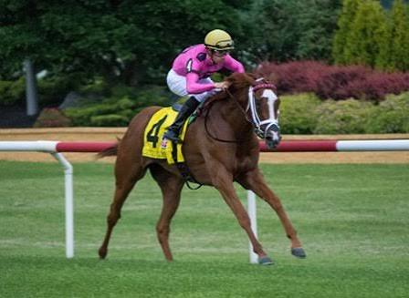HORSERACING1002's tweet photo. CATCH A GLMPSE🇺🇸2013
(CITY ZIP ▪︎ HALO RIVER BY IRISH RIVER)
#CatchAGlimpse
B/ Branch Equine (Ky) May 13, 2013
O/ Barber, Gary, Ambler, Michael James & Windways Farm
T/ Mark E. Casse 
KEESEP $75,000
FTKNOV $3,000,000
15-8-2-0---$1,853,615
2015 Champion 🏆 2yo filly, Champion 🏆 Turf Female & Horse of the year in Canada 🇨🇦 
Breeder's Cup Juvenile Fillies Turf G1, Belmont Oaks G1, Penn Mile G3, Natalma S G2, Herecomesthebride S G3, Edgewood S G3, Appalachian S G3
2nd Lake Placid S G2, Sand Springs S,
CRE Keeneland (T) 1m 1,37,27
Dam Catch Rose (Lord Kanaloa), Million Times (Lord Kanaloa).