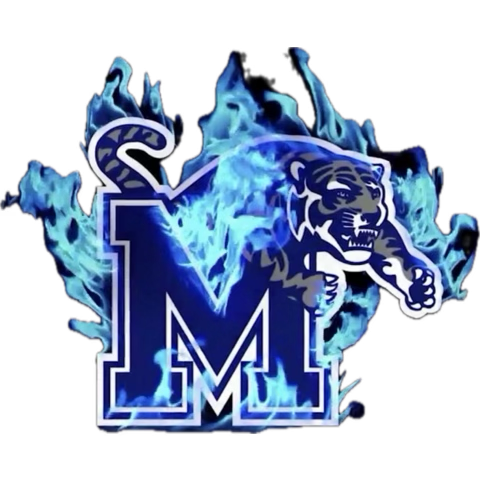 SimiTheresa's tweet photo. @MemphisWSoccer GoTigersGo 💙🤍💙 https://t.co/EjH8qzDpad