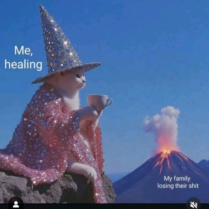 Zenm001's tweet image.