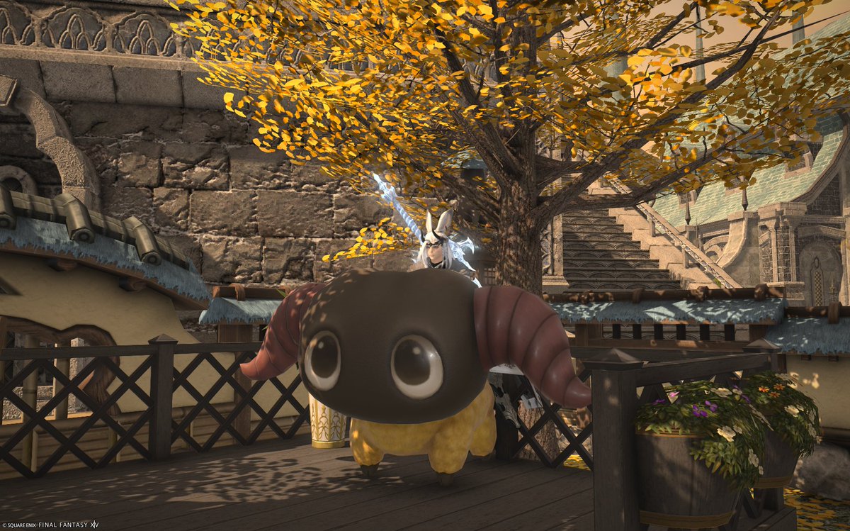 I have the Yan mount!!! Yaaassss!! After weeks of farming treasure dungeon, 3 Yan Horns suddenly dropped in one run! 2 of them from the same dungeon instance!!