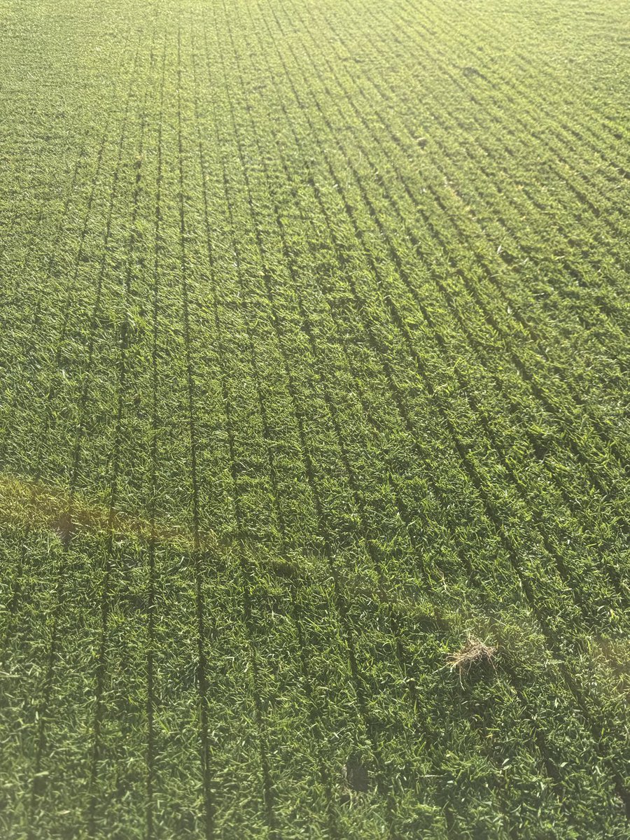 Hitting them with the super 600 next.
LETS GO.