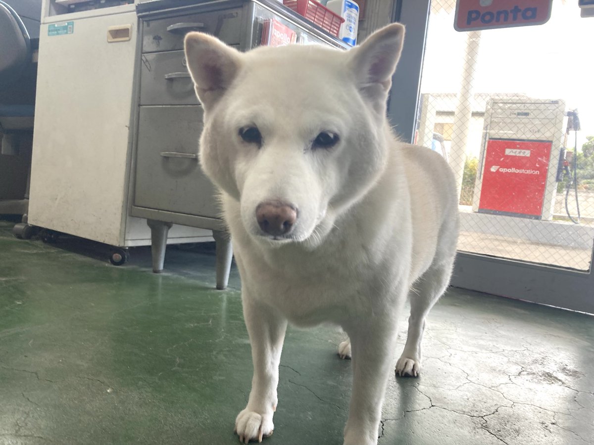 Michiaki ISHIDA (@IshidaMichiaki) / Posts / X