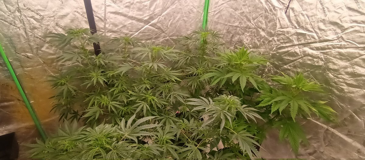 Filling up💥💨💨