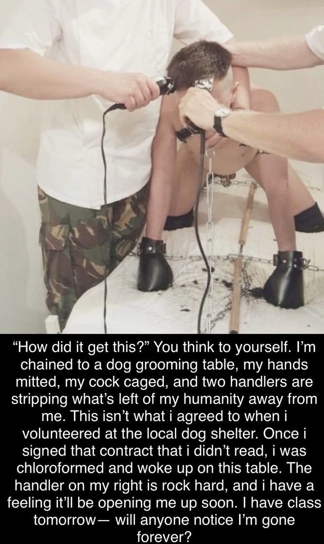 When you sign a contract you didn’t read…