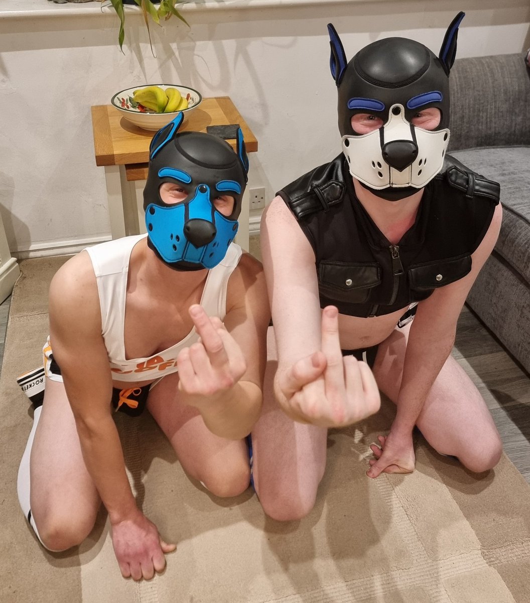 Deffo no treats for you pups! Bad dawgs.....but cute. <a href="/Fyre_Boi/">Fyre</a> &amp; <a href="/Ghostpup2/">👻GhostPup🐕</a>