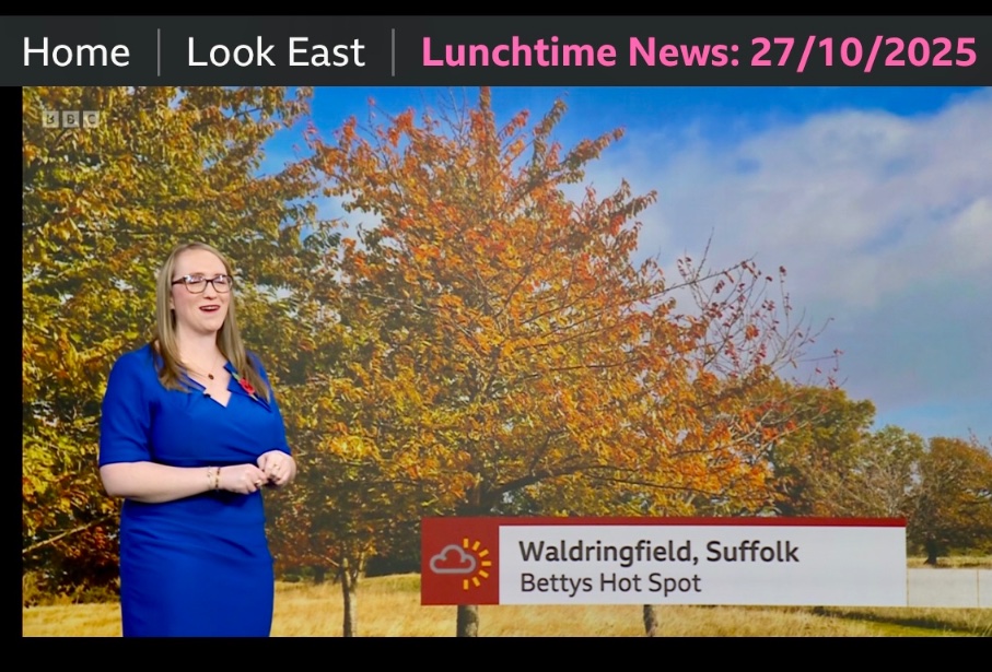 Bettyshotspot tweet media