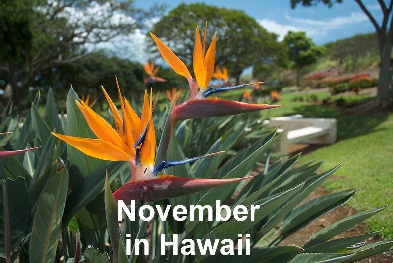 Here's what you need to know for a November vacation to Hawaii: govisithawaii.com/2025/10/27/wha…