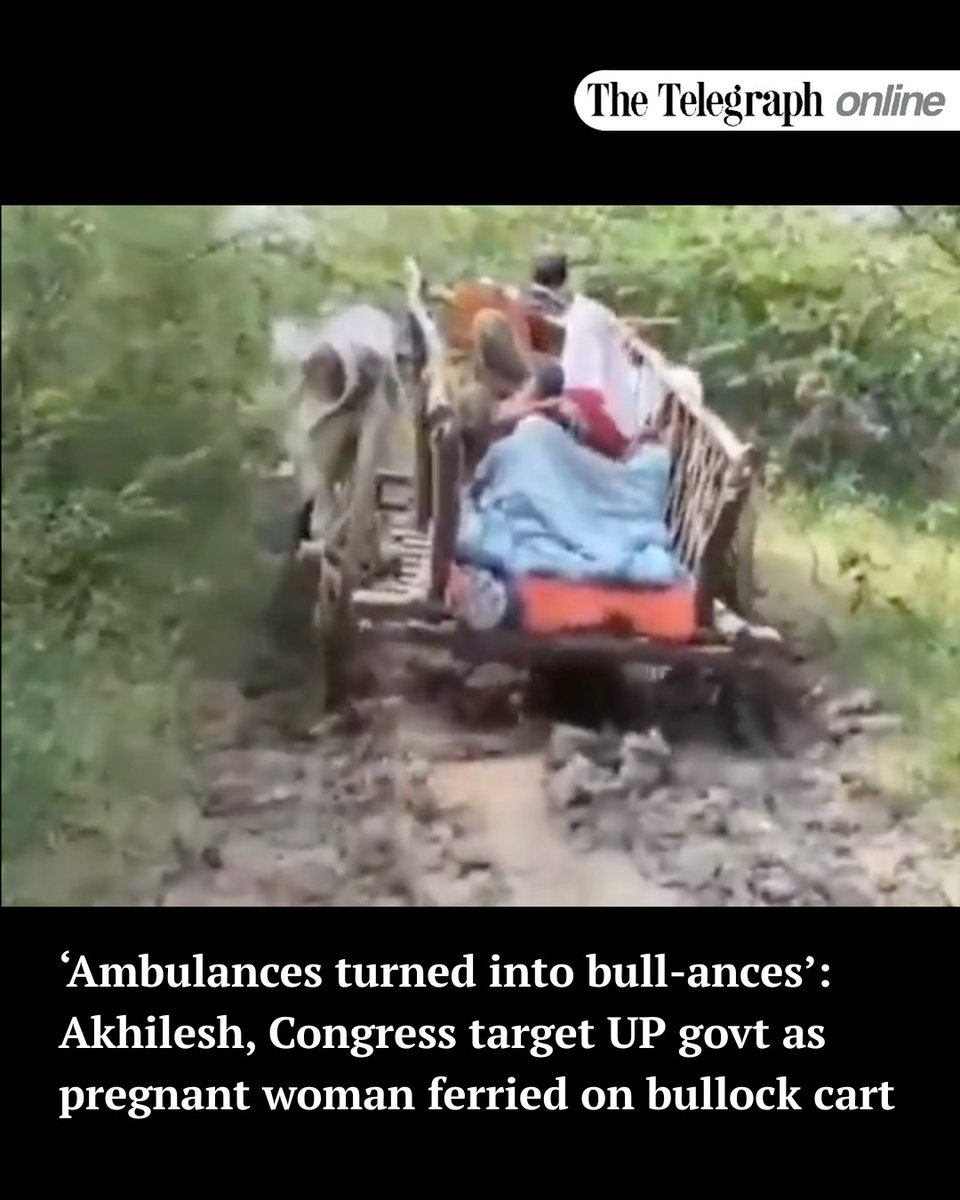 ttindia's tweet image. Samajwadi Party chief Akhilesh Yadav and the Congress on Monday question the BJP’s claim of development in Uttar Pradesh after a video of a pregnant woman being carried on a bullock cart through a muddy, waterlogged road went viral on the internet. #UPRoads #AkhileshYadav…