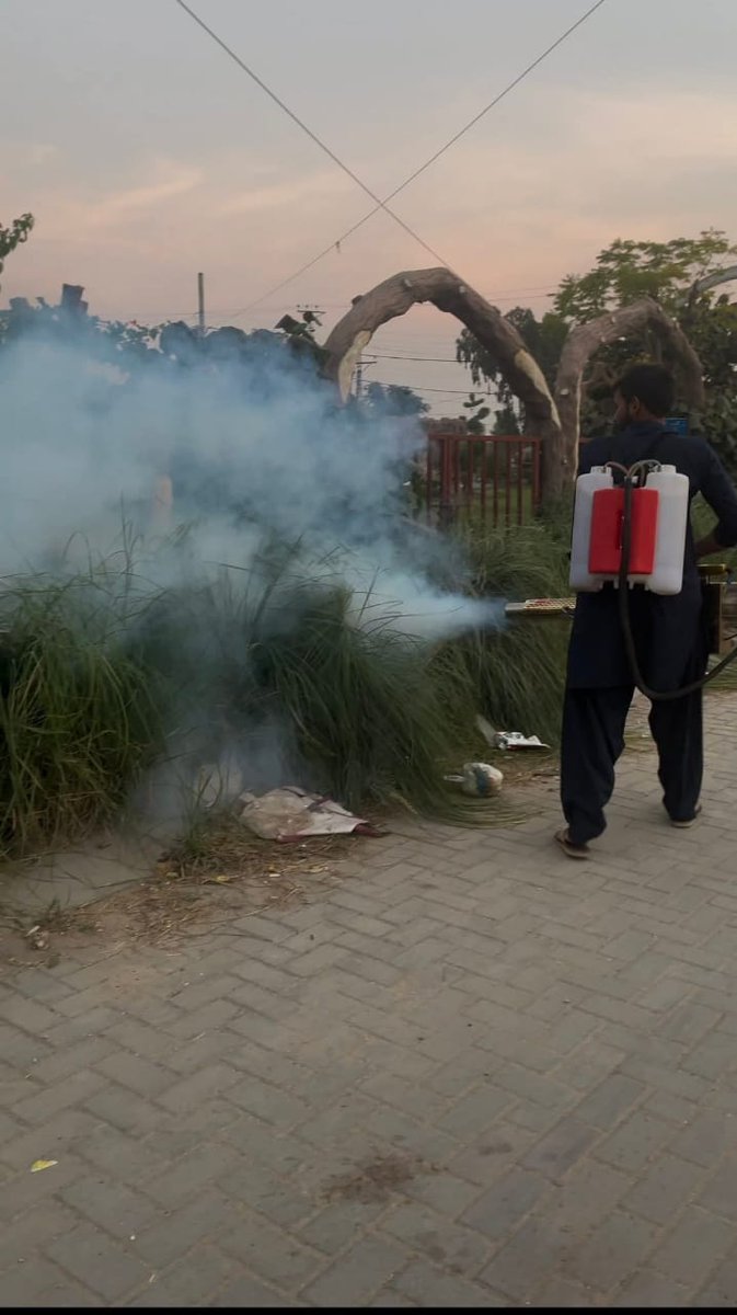 YumnaAli_4383's tweet image. میئر حیدرآباد کاشف علی شورو کی خصوصی ہدایت پر چیئرمین ذوہیب چانگ کی زیرِ نگرانی UC-145 میں اینٹی ڈینگی اسپرے مہم مؤثر انداز میں جاری ہے
یہ مہم عوامی صحت کے تحفظ کے لیے پیپلز پارٹی کے عملی عزم کی عکاسی کرتی ہے۔
#HMC #PPP #PublicHealth @KashifShoroPPP  @jamkhanshoro @BBhuttoZardari