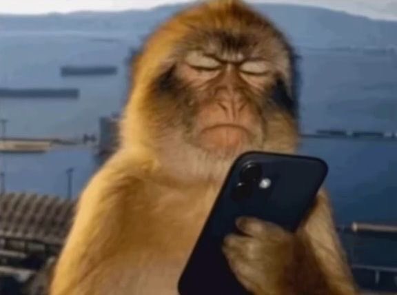 اول مره اشوفها مو قادره افك بث 😡😡!!