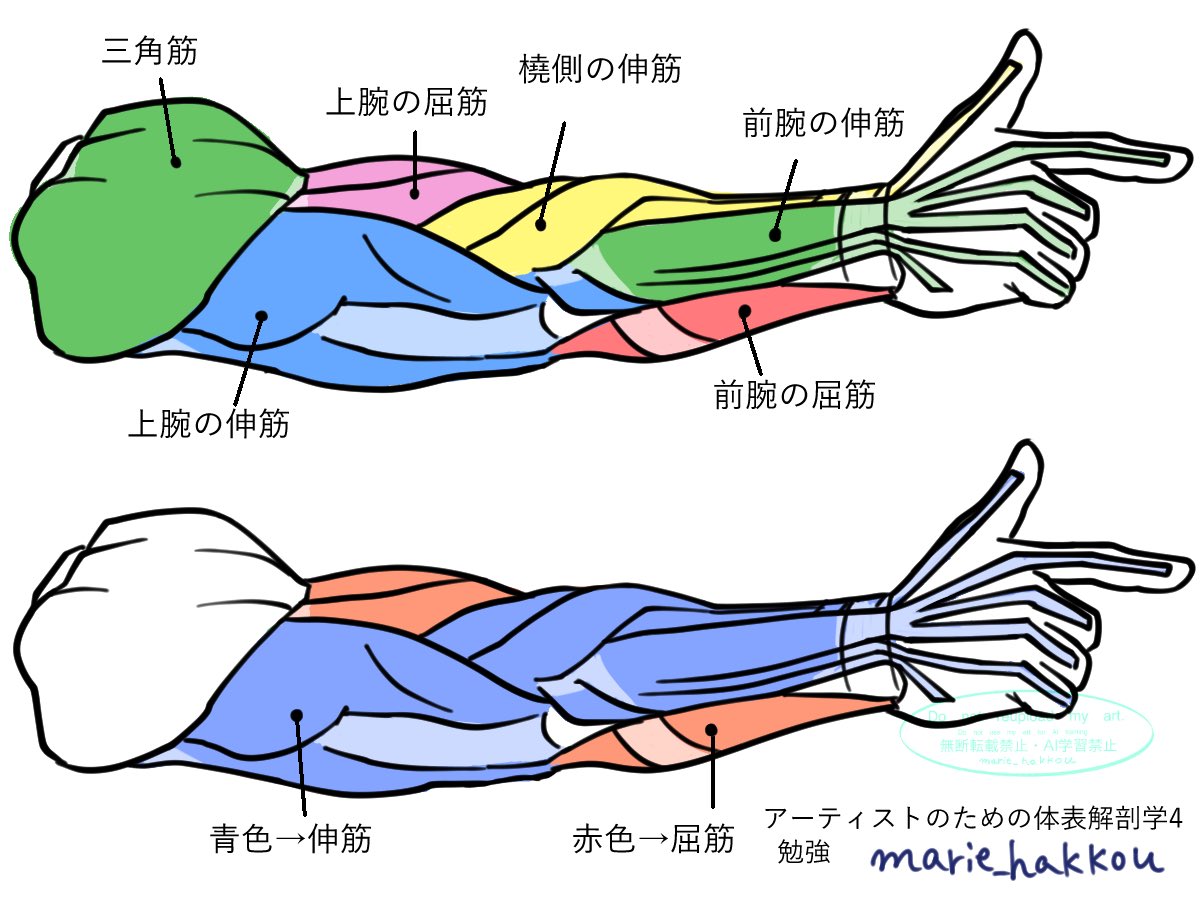 狐❖壱伍 (@IXo77AHDJ3GfcxX) / Posts / X