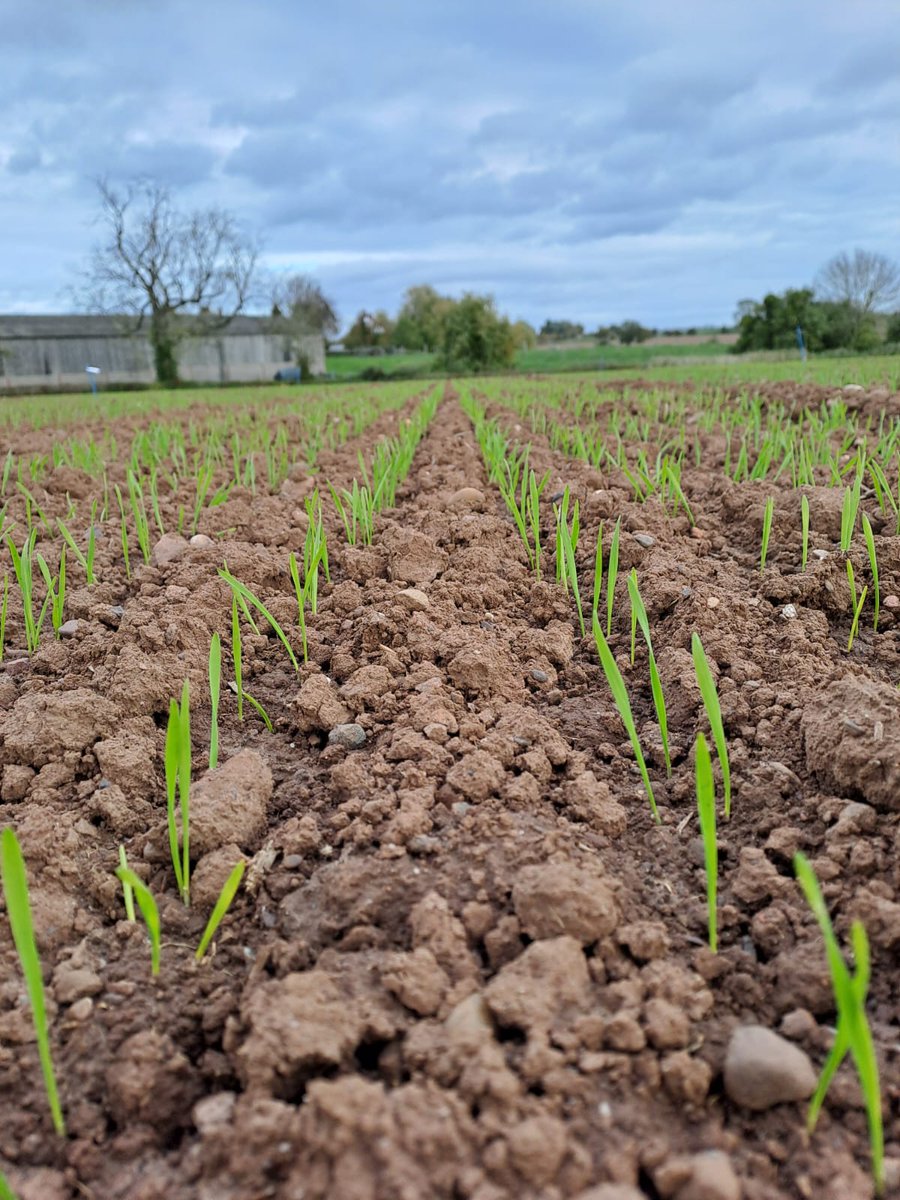 Megan Edmonds tweet media