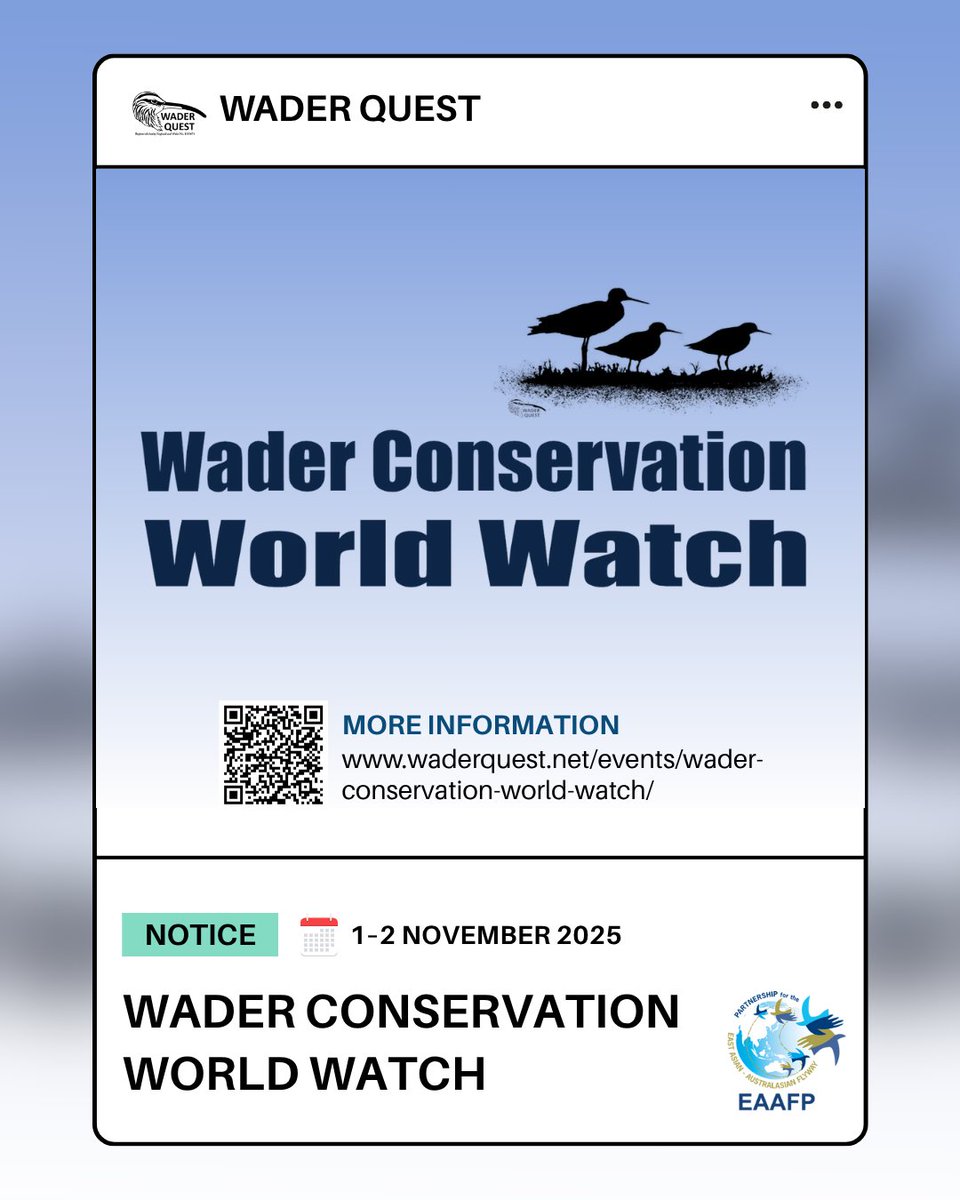 EAAFP's tweet image. Join the Wader Conservation World Watch (WCWW12 2025)! 🌍

On 1–2 Nov, head to your nearest wetland, shoreline, or estuary to spot waders and share your sightings with @waderquest. 
👉 waderquest.net/events/wader-c…

#WCWW12 #CitizenScience #EAAFlyway #WaderConservation