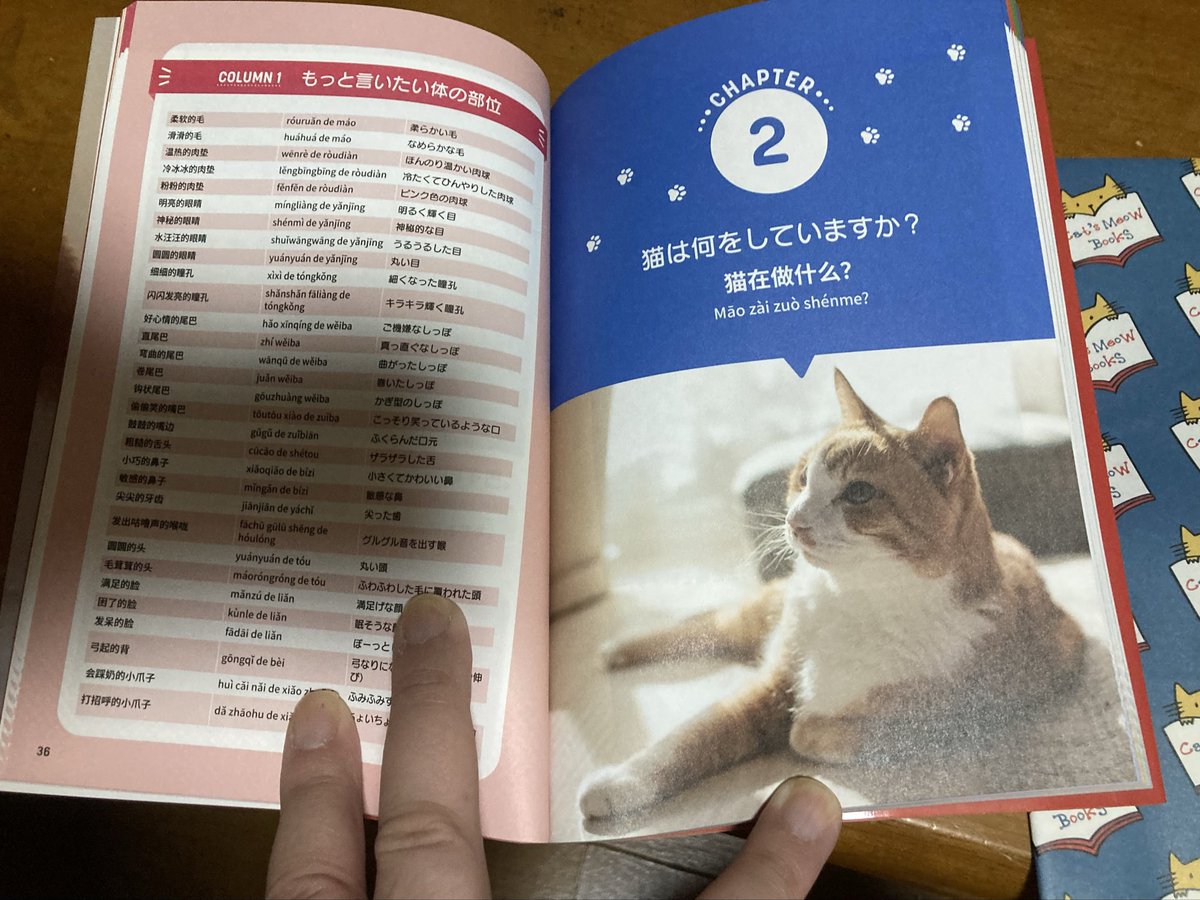 miwakiti726's tweet photo. 猫下僕以外にお勧めできない1冊
小猫著 猫の中国語 三修社刊

ただひたすら猫を愛でる、褒め称える、可愛いと萌える中国語の例文しか載っていない、観光にもビジネスにも観光客からの質問にも一切役に立たない中文の教科書 #読書の日
有猫的世界幸福吗？ฅ^•ﻌ•^ฅฅ^•ω•^ฅ https://t.co/Xf9VsOnXqE