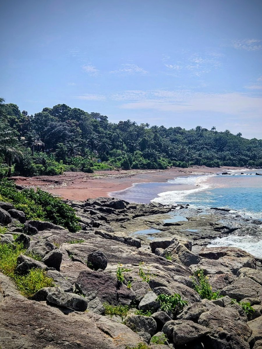 eyilmaz_mx's tweet photo. República de #Guinea 🇬🇳 fue la segunda parada. Su #Capital #Conakry es un típico puerto #africano con su mercado de pescadores abarrotado y bastante caótico. 
Visitamos la Isla de #Kassa donde se minaba #Bauxita.
Ya está la palomita ! 🥸
@MegaTravel_MX #CountDown24 https://t.co/CeFOykGurh