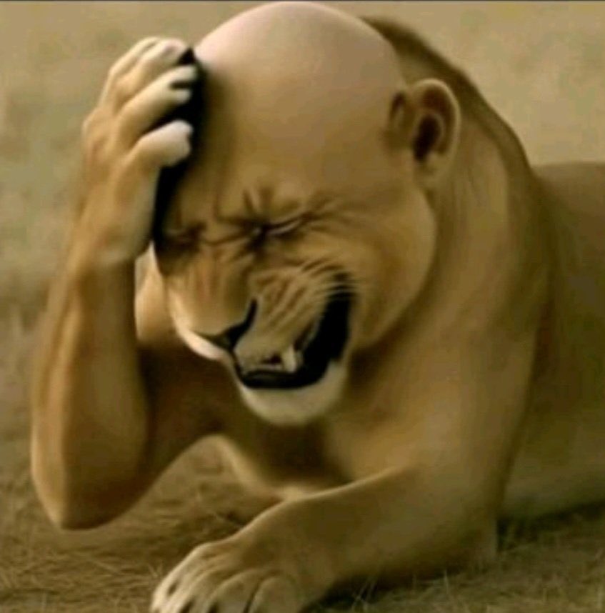 Francis Assisi Kimbowa (@fa_kimbowa) on Twitter photo 