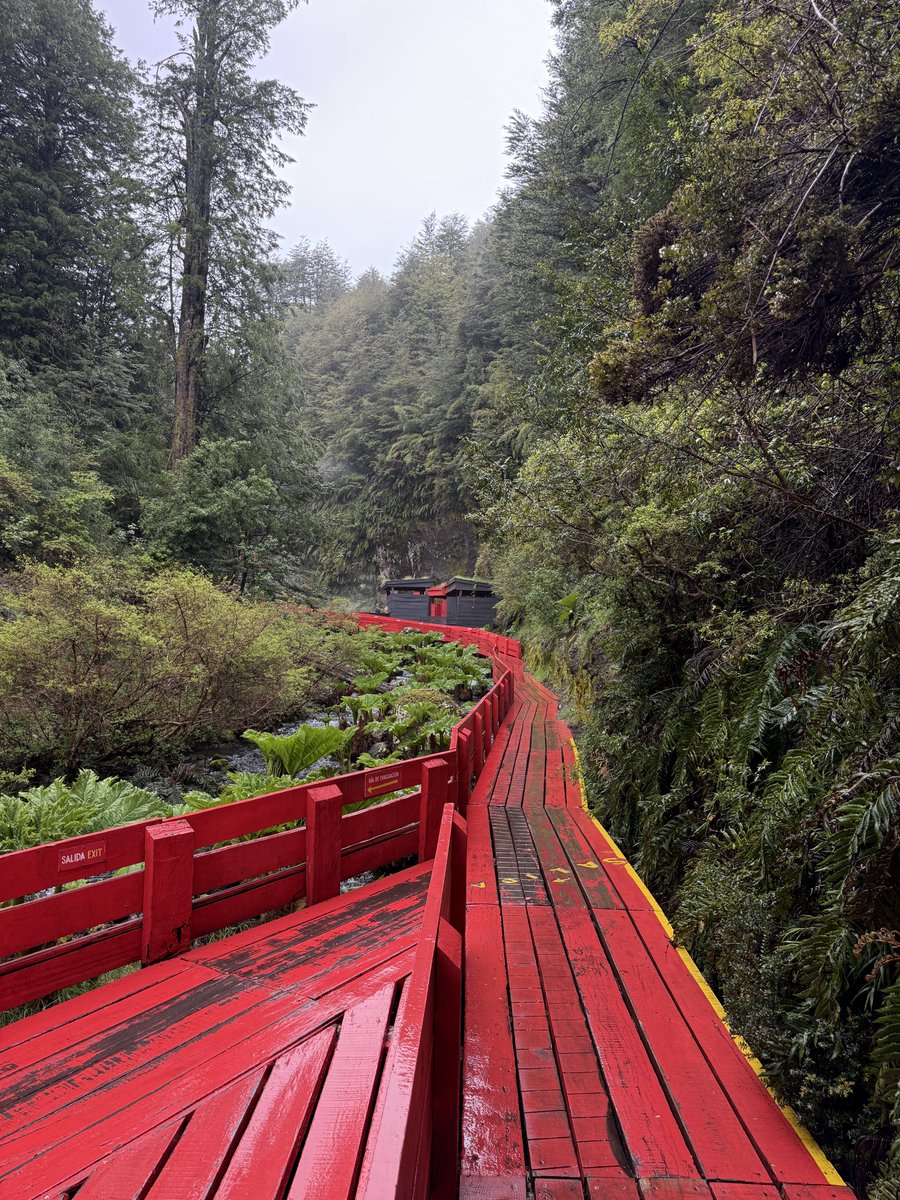 The best weekend with the best people. 

Only at <a href="/JoinEdgeCity/">Edge City</a>.