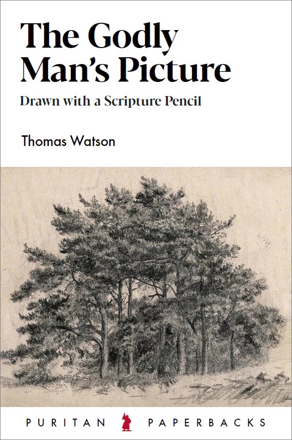 ““A humble Christian studies his own infirmities, and another’s excellences; and that makes him put a higher value on others than on himself. “Surely I am more brutish than any man” (Pro. 30:2).” 
-Thomas Watson