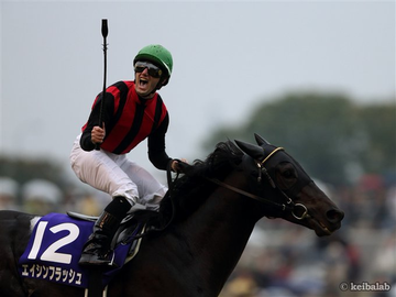 まねき馬　エイシンフラッシュ　レインボー　虹　天皇賞秋　片閉じ未開封 天皇賞春を制したレインボーラインの弟など、良血馬たちがデビュー