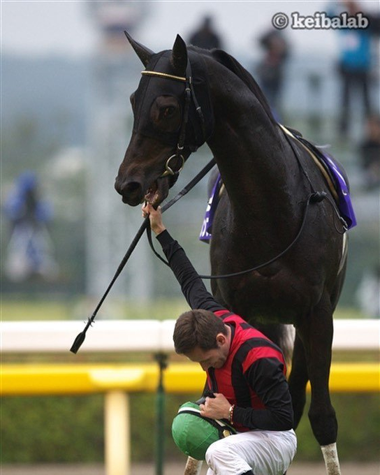 目に焼きついた一瞬の光】 2012年10月28日、天皇賞・秋。7年ぶりの天覧