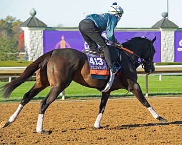 HORSERACING1002's tweet photo. RUSHING FALL 🇺🇸 2015
(MORE THAN READY - AUTUMNAL BY FORESTRY)
#RushingFall
B/ Fred W Herteich III (Ky) Apr 15, 2015
O/ E Five Racing Thoroughbreds
T/ Chad Brown
FTSAUG $320,000
FTKNOV $5,500,000
15-11-3-0----$2,893,000
2020 Champion 🏆 Female Turf Mare 🇺🇸
Breeder's Cup Fillies Turf juvenile G1, Just A Game S G1, Queen Elizabeth II Challenge Cup G1, Diana S G1, Jenny Wiley S G1 (2), Lake Placid S G2, Appalachian S G2, Beaquey S G3
2nd Breeder's Cup Filly and Mare Turf G1, Diana S G1, Edgewood S G3
CNR Keeneland (T) 1 1/16 m 1,39,02
Dam Dallas Texas (Dubawi), Mint Candy (Dubawi),