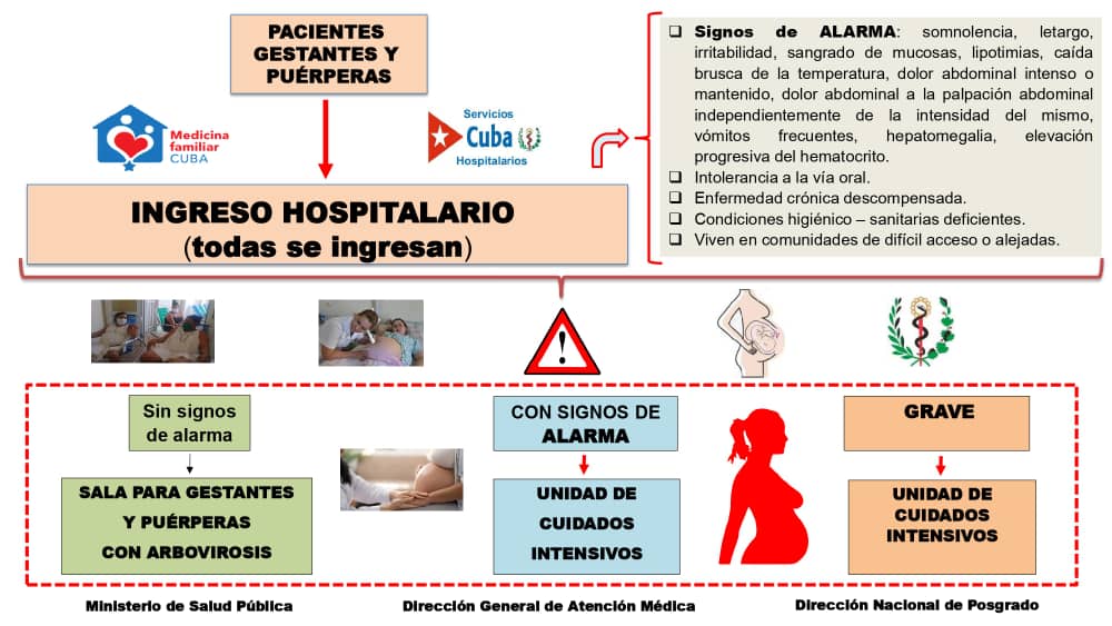 Médicos y Enfermeras GBTCP3 (@gbtcp3mzllo) on Twitter photo Lee aquí 👇 como actuar, ante una embarazada con signos y síntomas sugestivos de Arbovirosis, todas deben ingresarse, al igual que las puerperas, y los niños menores de 2 años.
#CubaPorLaSalud 
#CubaPorLaVida Lee aquí 👇 como actuar, ante una embarazada con signos y síntomas sugestivos de Arbovirosis, todas deben ingresarse, al igual que las puerperas, y los niños menores de 2 años.
#CubaPorLaSalud 
#CubaPorLaVida