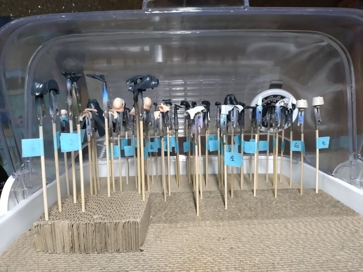 白猫ページです。 白猫 on X