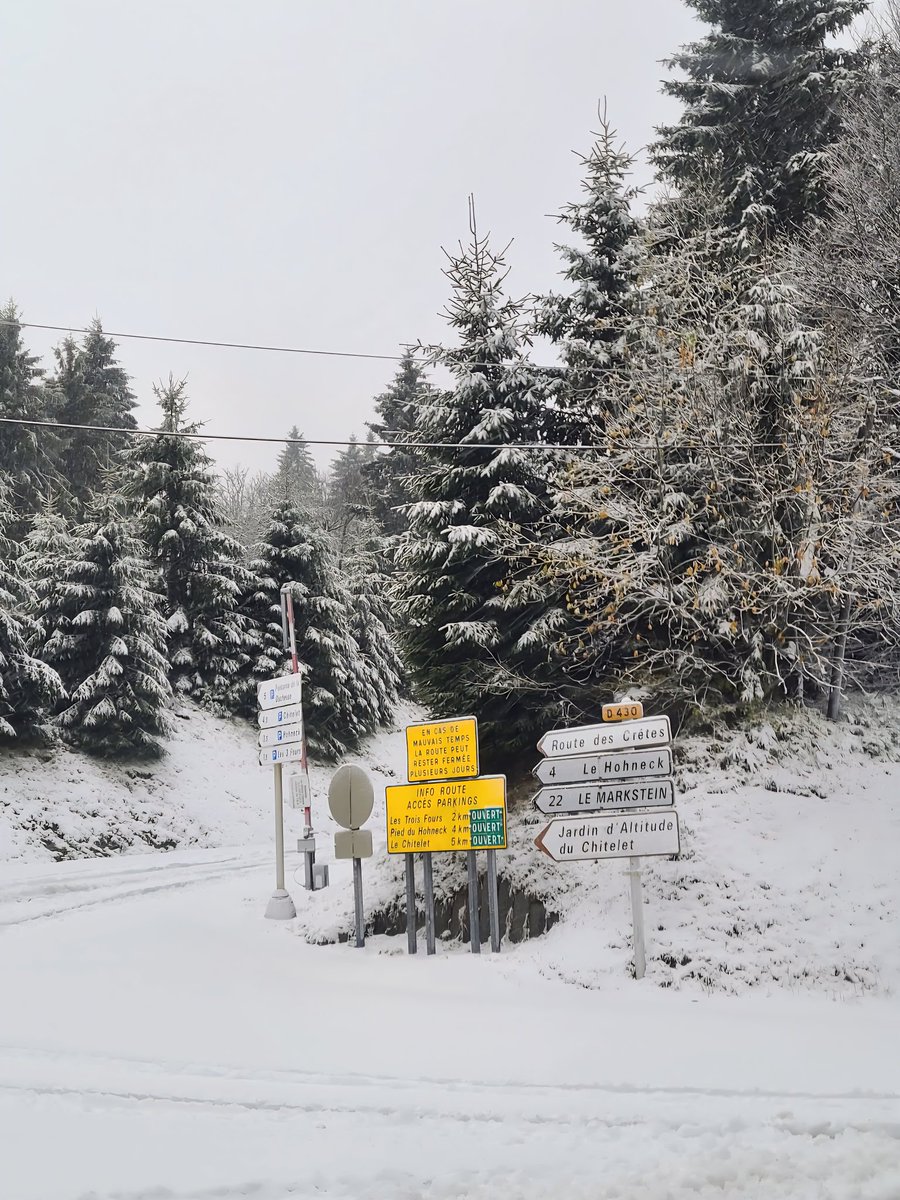 p_bischetti's tweet photo. Premières neiges ❄️❄️☃️❄️❄️ dans les Vosges  ...
Neige précoce ... Noël en décembre 😊
📸 envoyées par une amie 🤍 https://t.co/iitUYdoFCL