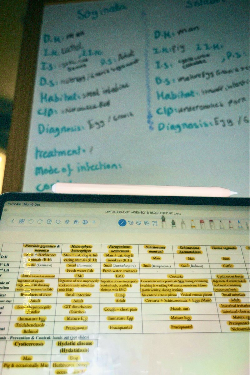 Level 3 midterm’s done ✅