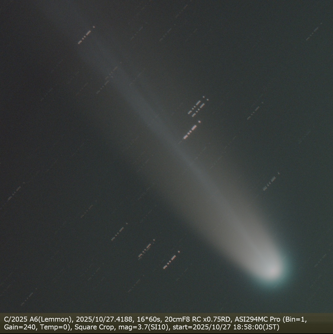 ⭐︎山⭐︎ SKECHERS | 山男フットギアアメ横老舗スニーカー・靴・スポーツ