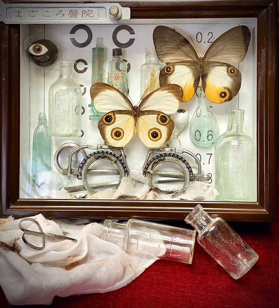 うつせみ標本屋 on X