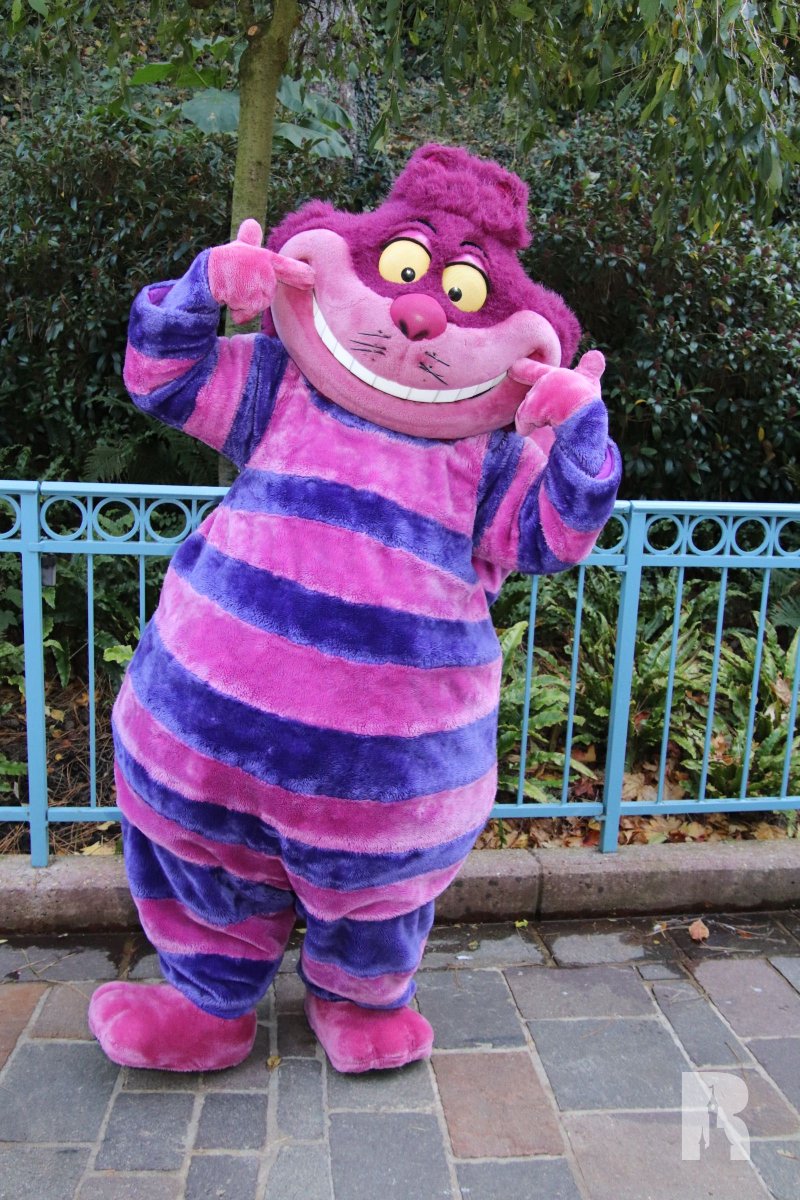 🎃 Cheshire Cat, in Fantasyland