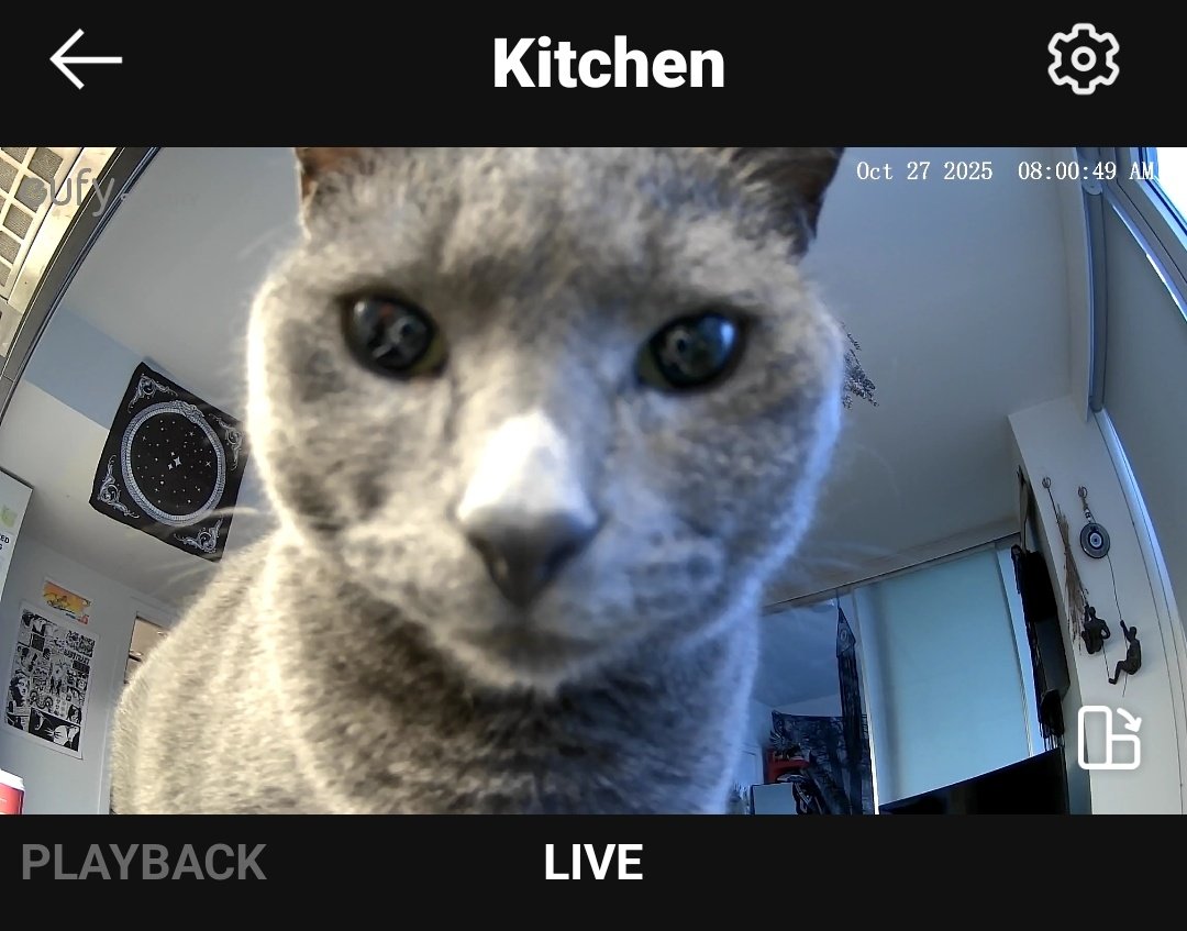 PartyPrat's tweet image. 