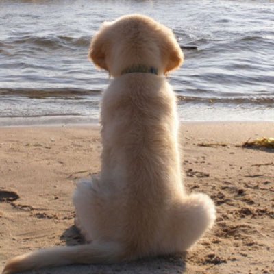 즐껨충 tweet media