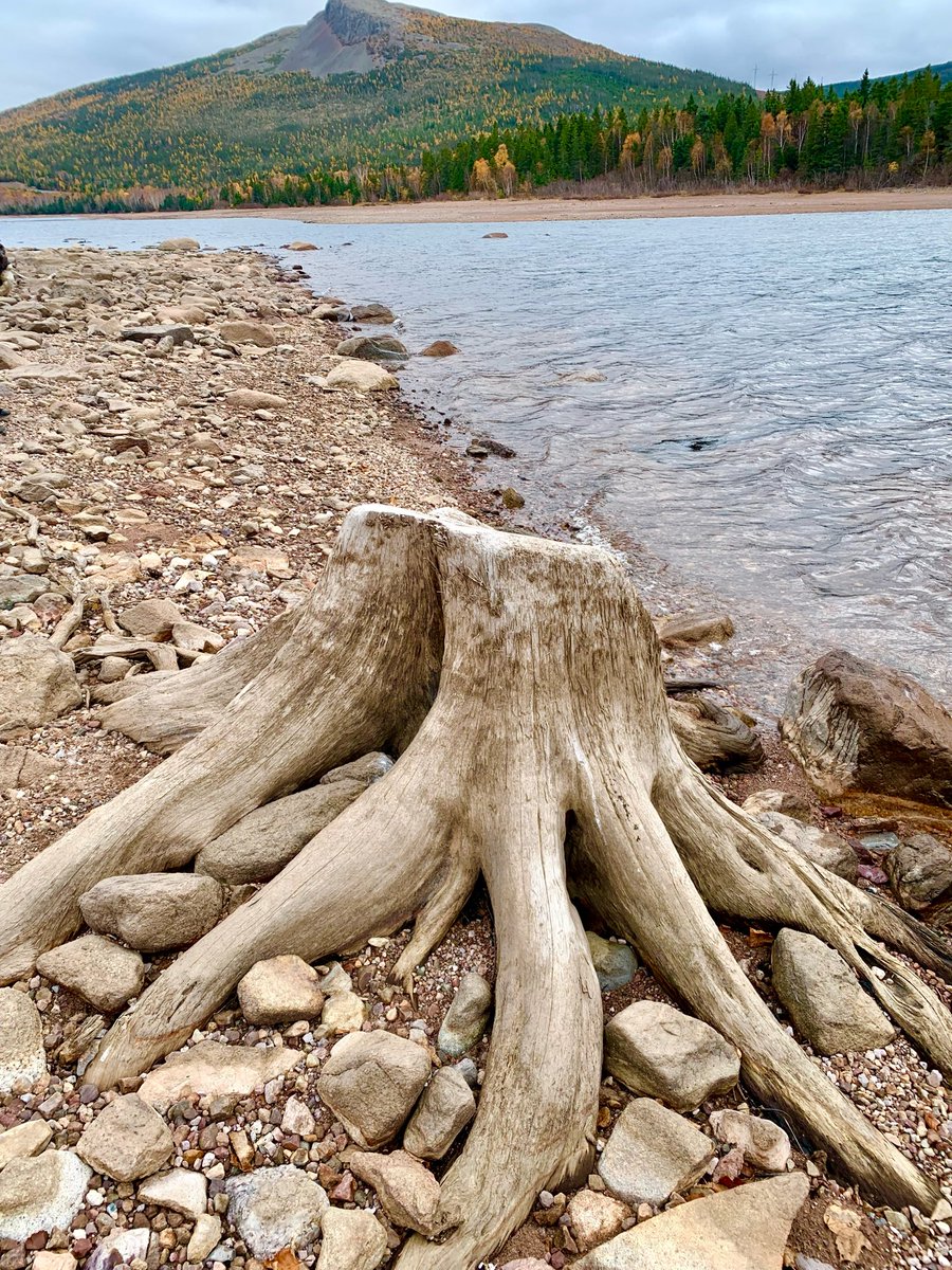 Water levels are so low.  You could probably walk across Birchy Lake. #nlwx
