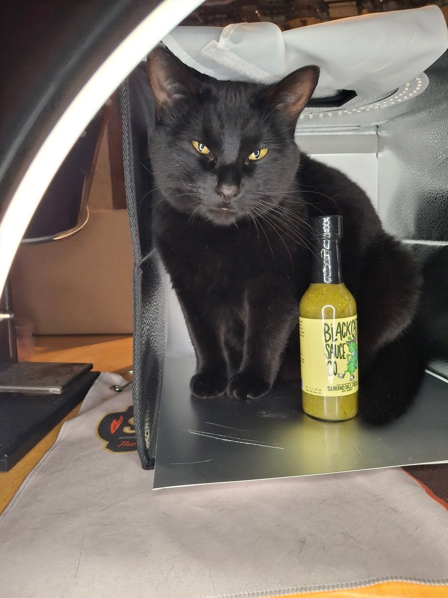 Bring the heat to your brand with labels as bold as your flavor. 🔥 

When asked why Matthew decided to work with MakeStickers he simply responded:

“Fast Quality Service” -@ blackcatsaucecompany 🌶️ 🐈‍⬛ 

👉 Visit: mkstk.co/csblackcatsauc… 👈